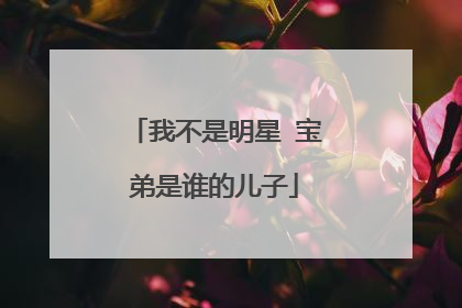 我不是明星 宝弟是谁的儿子