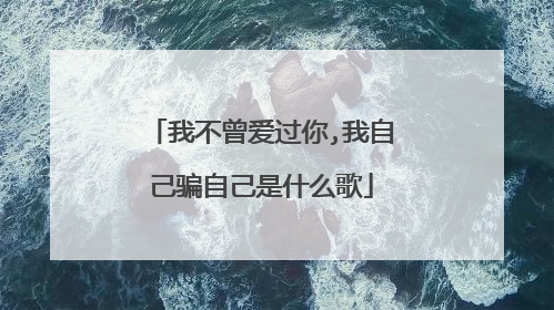 我不曾爱过你,我自己骗自己是什么歌