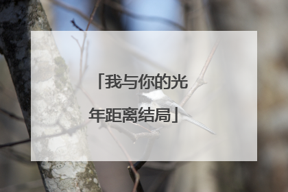 我与你的光年距离结局