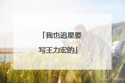 我也追星要写王力宏的