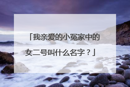 我亲爱的小冤家中的女二号叫什么名字？