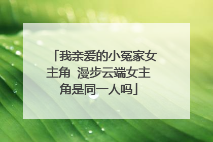 我亲爱的小冤家女主角 漫步云端女主角是同一人吗