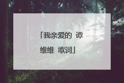 我亲爱的 谭维维 歌词