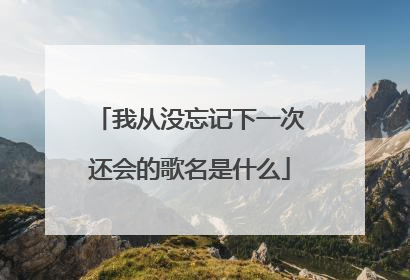 我从没忘记下一次还会的歌名是什么