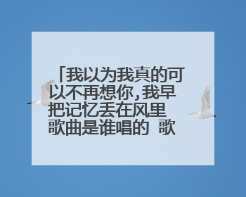 我以为我真的可以不再想你,我早把记忆丢在风里 歌曲是谁唱的 歌名是什么