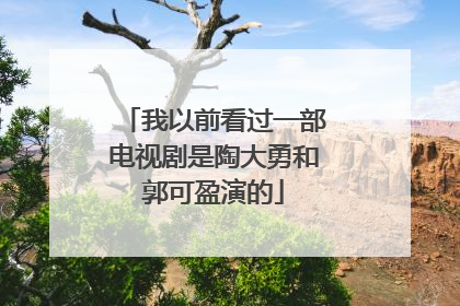 我以前看过一部电视剧是陶大勇和郭可盈演的