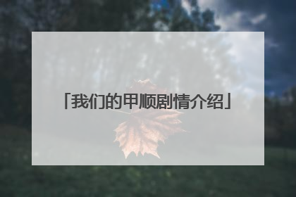 我们的甲顺剧情介绍
