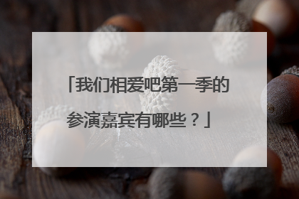 我们相爱吧第一季的参演嘉宾有哪些？