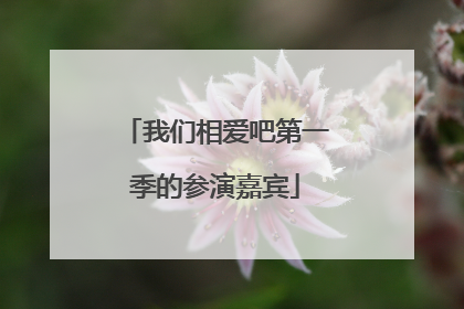 我们相爱吧第一季的参演嘉宾