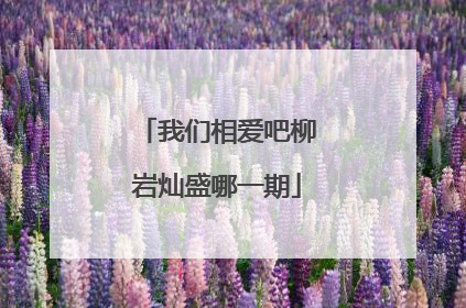 我们相爱吧柳岩灿盛哪一期