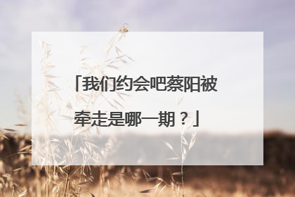 我们约会吧蔡阳被牵走是哪一期?
