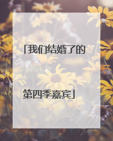 我们结婚了的第四季嘉宾