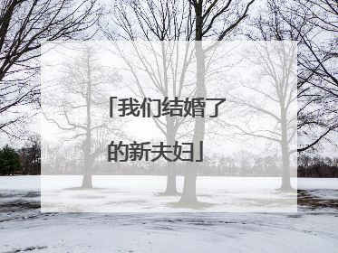 我们结婚了的新夫妇