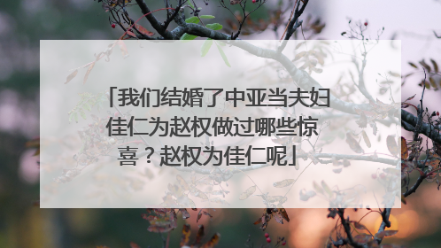 我们结婚了中亚当夫妇 佳仁为赵权做过哪些惊喜?赵权为佳仁呢