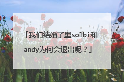 我们结婚了里solbi和andy为何会退出呢？