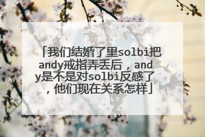 我们结婚了里solbi把andy戒指弄丢后，andy是不是对solbi反感了，他们现在关系怎样