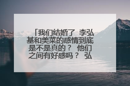 我们结婚了 李弘基和美菜的感情到底是不是真的？ 他们之间有好感吗？ 弘基喜欢她吗？