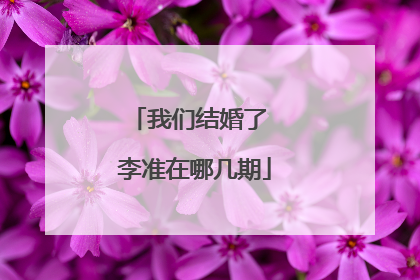 我们结婚了 李准在哪几期