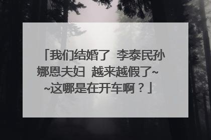我们结婚了 李泰民孙娜恩夫妇 越来越假了~~这哪是在开车啊?