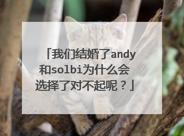 我们结婚了andy和solbi为什么会选择了对不起呢？