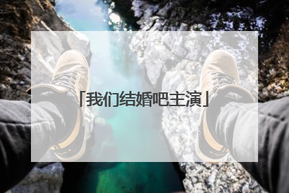 我们结婚吧主演