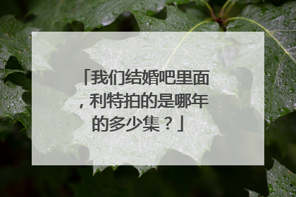 我们结婚吧里面,利特拍的是哪年的多少集?