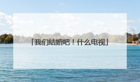 我们结婚吧!什么电视
