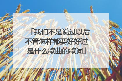 我们不是说过以后不管怎样都要好好过是什么歌曲的歌词