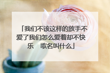 我们不该这样的放手不爱了我们怎么爱着却不快乐 歌名叫什么