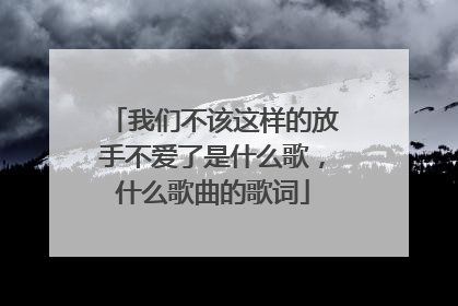 我们不该这样的放手不爱了是什么歌,什么歌曲的歌词