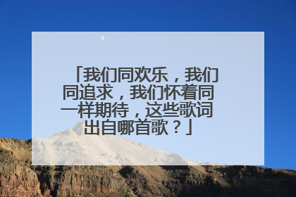 我们同欢乐，我们同追求，我们怀着同一样期待，这些歌词出自哪首歌？