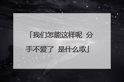 我们怎能这样呢 分手不爱了 是什么歌
