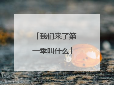 我们来了第一季叫什么