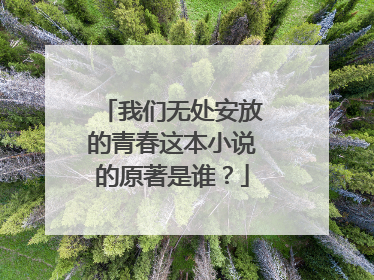 我们无处安放的青春这本小说的原著是谁？