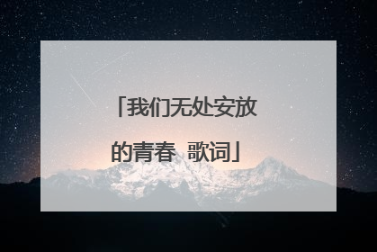 我们无处安放的青春 歌词