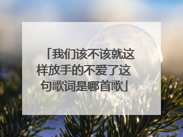 我们该不该就这样放手的不爱了这句歌词是哪首歌
