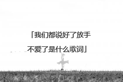 我们都说好了放手不爱了是什么歌词