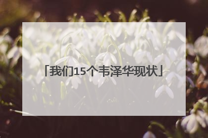 我们15个韦泽华现状