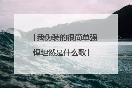 我伪装的很简单强悍坦然是什么歌