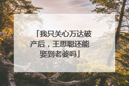 我只关心万达破产后,王思聪还能娶到老婆吗