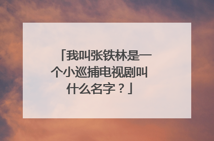 我叫张铁林是一个小巡捕电视剧叫什么名字？
