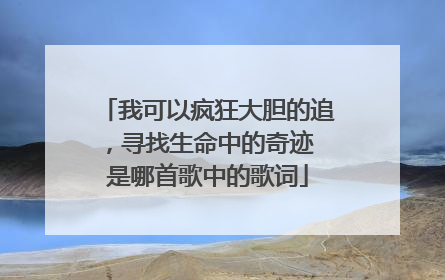我可以疯狂大胆的追,寻找生命中的奇迹 是哪首歌中的歌词