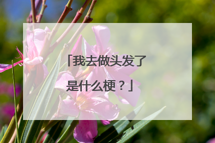 我去做头发了是什么梗?