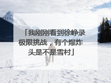 我刚刚看到徐峥录极限挑战,有个爆炸头是不是雪村