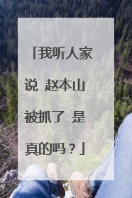 我听人家说 赵本山被抓了 是真的吗?