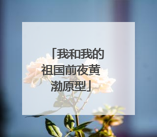 我和我的祖国前夜黄渤原型