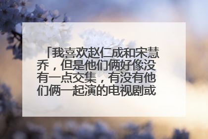 我喜欢赵仁成和宋慧乔，但是他们俩好像没有一点交集，有没有他们俩一起演的电视剧或综艺节目，谢谢啊