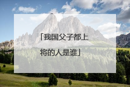 我国父子都上将的人是谁
