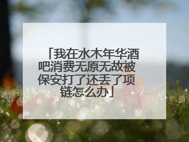 我在水木年华酒吧消费无原无故被保安打了还丢了项链怎么办