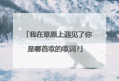 我在草原上遇见了你是哪首歌的歌词?
